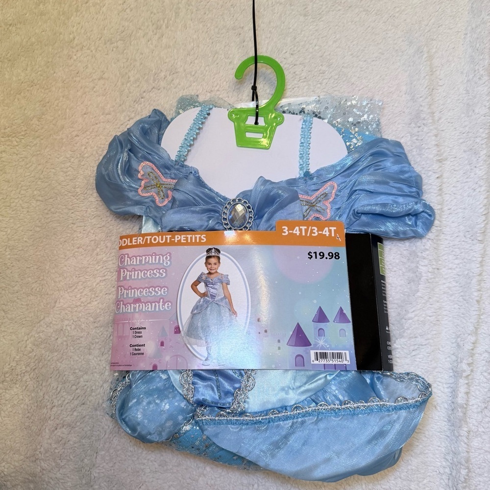 Charming Princess Toddler Dress in Blue